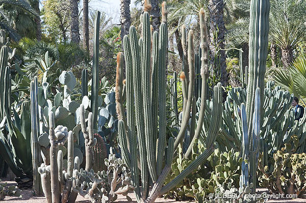 Marrakech